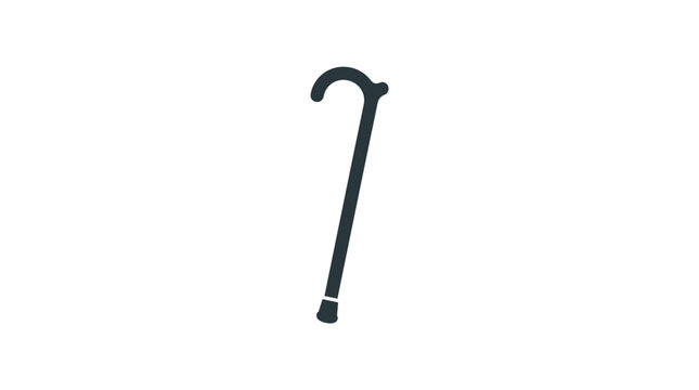 Black Walking Stick for Support.
