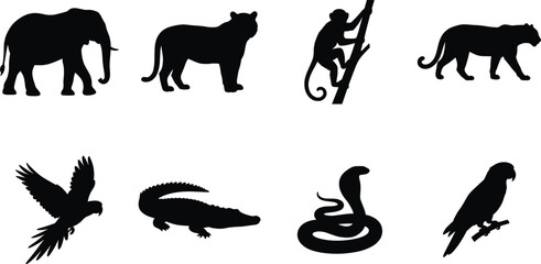 Collection of jungle and safari wild animal silhouettes featuring elephant, tiger, monkey, and tropical birds © MdBabul