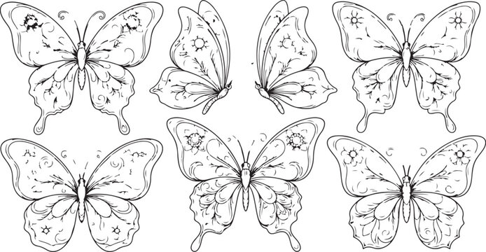 Enchanted butterfly adult coloring page vector with moon stars and ornate fantasy wing patterns