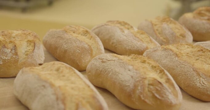 Raw round bread dough proofs inside specialized wicker baskets on a wooden tray in a bakery
