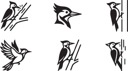 Fototapeta premium Black and white woodpecker bird illustrations in various poses Vector