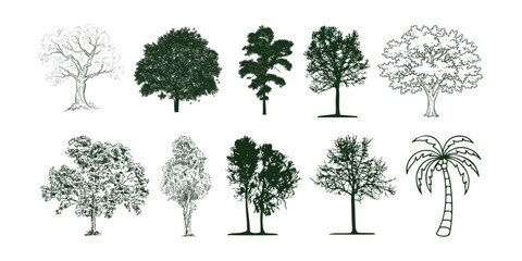 Fototapeta premium Hand Drawn Tree Sketch Collection for Architecture and Landscape Design, Architectural Tree Vector Set.