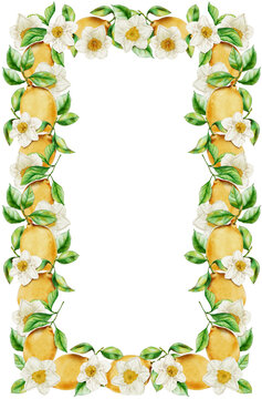 Rectangular Frame with Lemons and Narcissus Elements. Border of Citrus Fruits and Flowers for Invitations or Greeting Cards Creation. Mediterranean Greenery and Flower Blossom Composition.