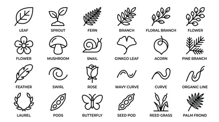 Natural elements icon set featuring leaf sprout fern branch flower snail mushroom acorn floral designs organic botanical line art for environmental projects graphic. © mrinalkantibiswas