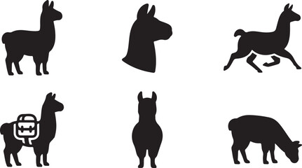 Obraz premium Six black llama silhouettes in different poses and activities Vector
