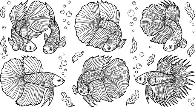 Betta fish outline illustration. Siamese fighting fish, ornate tails, aquarium scales, seaweeds, bubbles, anti stress coloring page elements.