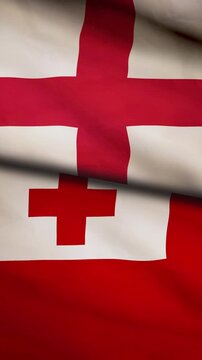 England and Tonga flag vertical