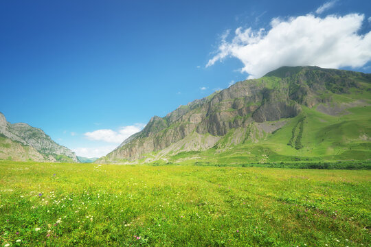Mountain valley landscape with a lush green wildflower meadow under a bright blue sky