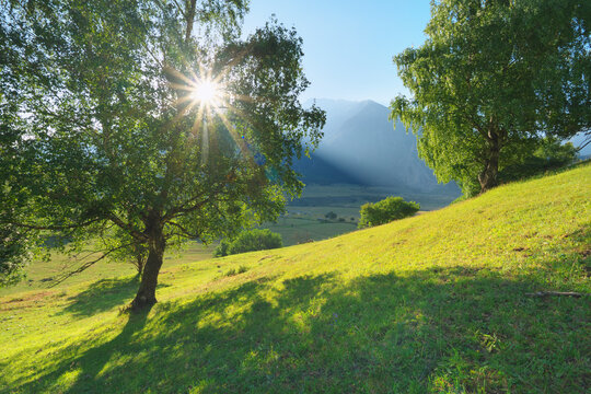 Summer mountain landscape with bright sunburst shining through green birch trees