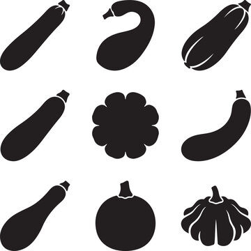 Minimalist zucchini and squash silhouettes, set of 9 black vegetable icons, organic marrow and pumpkin vector shapes for menu design