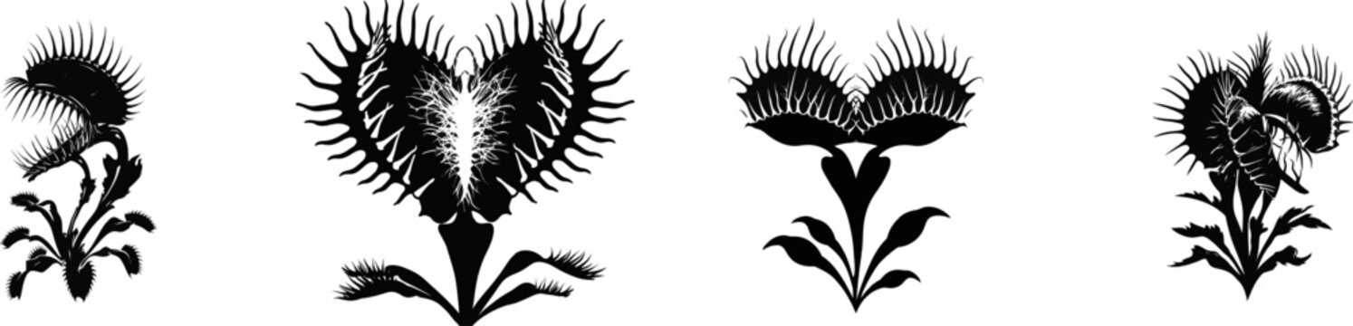 A striking Venus flytrap plant with sharp trigger hairs is depicted in a bold black silhouette against a pristine white background