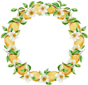 Round Frame with Lemons and Narcissus Elements. Circle Border of Citrus Fruits and Flowers for Invitations or Greeting Cards Creation. Mediterranean Greenery and Flower Blossom Composition.