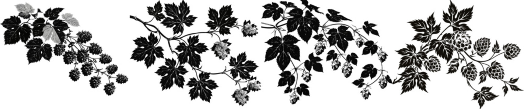 The image features a trailing hop vine with distinctive lobed leaves and layered cone-shaped flowers in black and white vector graphics, set against a solid white background for a flat monochrome
