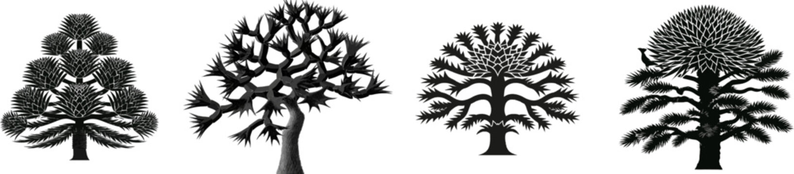 A striking monkey puzzle tree with spiky geometric branches is depicted in black and white vector graphic style, isolated on a solid white background