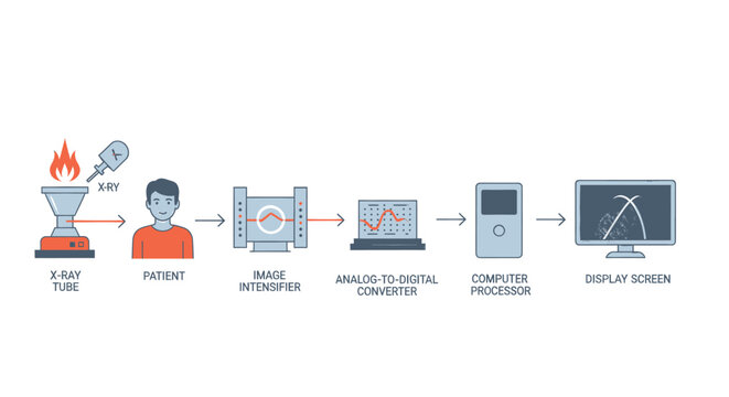 Vector illustration of medical imaging process with xray tube and display screen