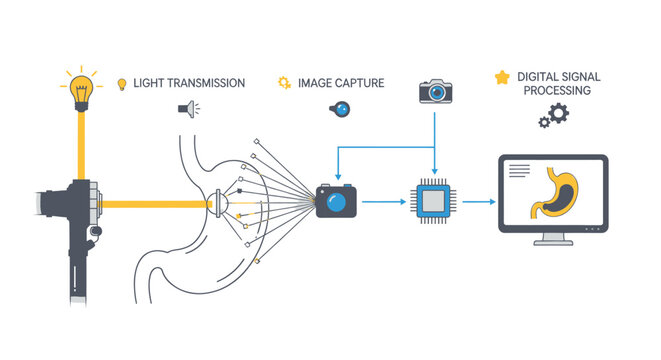 Vector illustration of medical imaging process with light transmission and digital signal processing