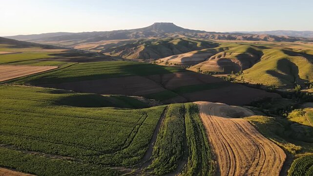 Aerial View of Steptoe Butte State Park - This aerial shot captures the rolling hills and farmland of Steptoe Butte State Park in the Palouse region of Washington State.