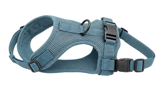 Blue gray dog harness isolated PNG on transparent background, adjustable mesh vest with buckles and straps