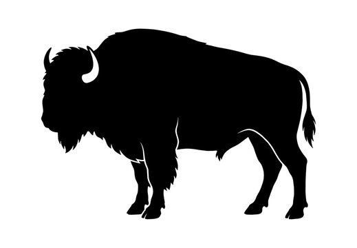 Black silhouette of a large american bison standing still as a side view animal icon design isolated on transparent background, Vector
