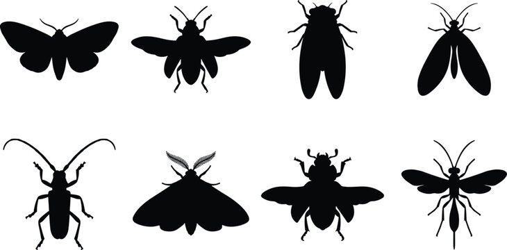 Insect silhouette collection featuring moths, flies, beetles, cicadas, and wasps for creative design projects