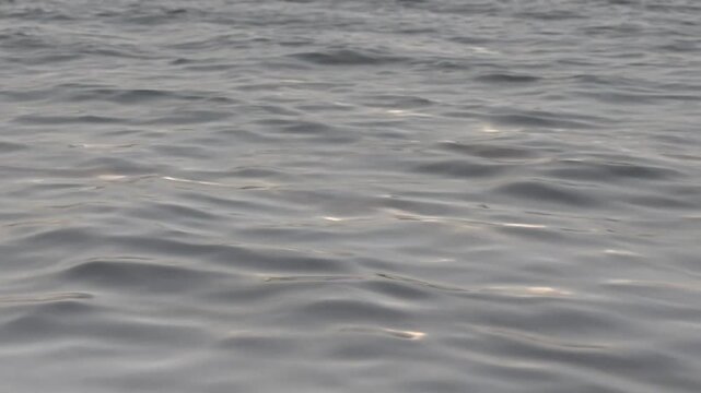 A video of ocean waves gently moving in a peaceful natural environment