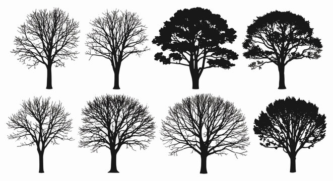 Set of eight detailed tree silhouettes featuring both leafless bare branch structures and full leafy crowns, isolated on a white background for graphic design and landscape architecture.