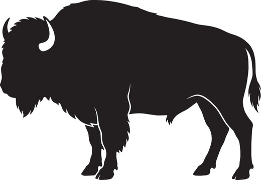 Black silhouette of a large american bison standing still as a side view animal icon design isolated on transparent background, Vector