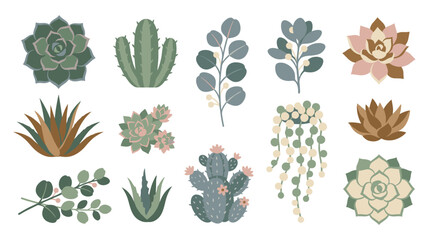 Succulent and cactus plant collection with desert flowers and eucalyptus leaves set icons. © jubayer71