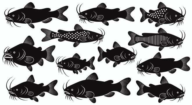 Assortment of catfish silhouettes and stylized vector icons featuring various species with barbels, fins, and unique patterns like spots or stripes, isolated on white background.