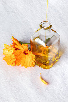 Pouring natural calendula essential oil into a small glass bottle