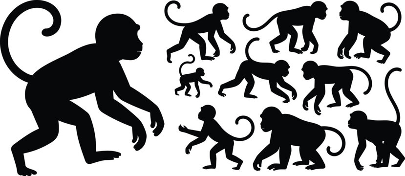 Group of Black Monkey Silhouettes in Various Poses on White Background primate
