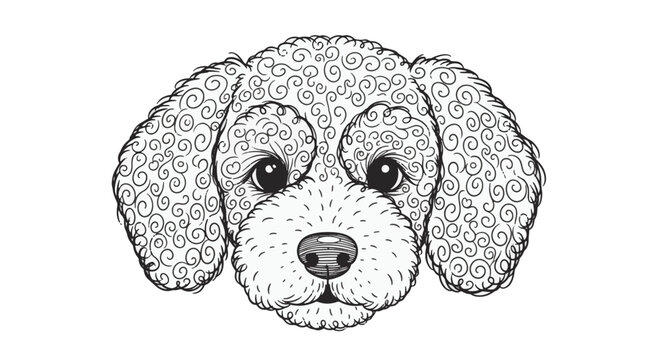 Intricate line art illustration of a curly-haired dog face with swirling patterns, poodle or doodle breed canine head, black and white hand-drawn style on white background.