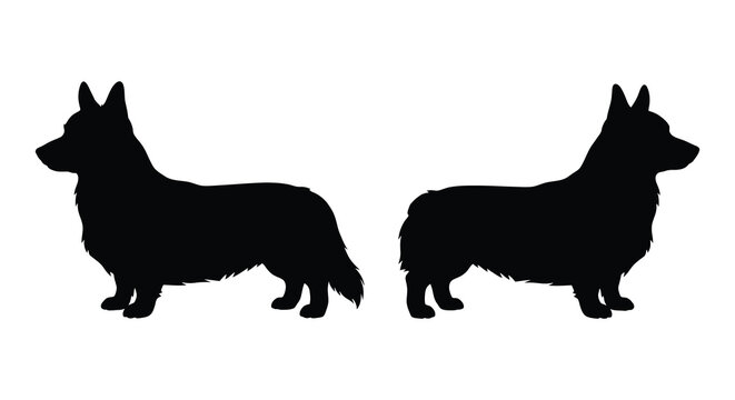 Two corgi dog silhouettes facing opposite directions on a white background silhouette corgis welsh cardigan pembroke breed canine