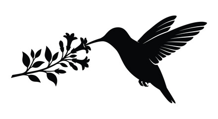 Fototapeta premium Hummingbird And Branch Silhouette Against White Background