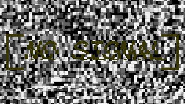 Grayscale Pixelated Static Noise Pattern