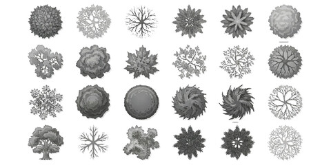 Set of twenty four top view tree icons for landscape architecture and garden design plans © md
