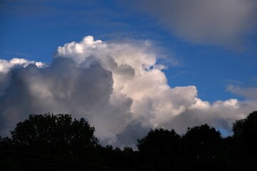 Obraz premium Big cloud Cumulonimbus illuminated by the sun above trees against blue sky.