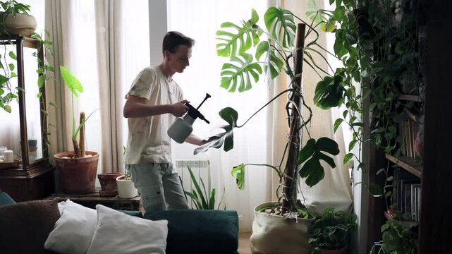 Happy gay man enjoying his hobby and taking care of houseplants, spraying monstera leaves with a spray bottle in a cozy living room