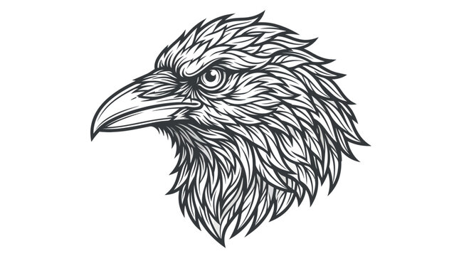 Detailed illustration of eagle head.