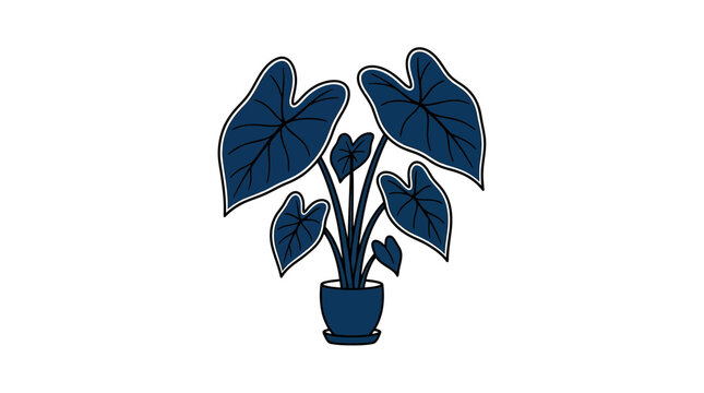 Dark Blue Elephant Ear Plant in a Pot, Tropical Houseplant Illustration
