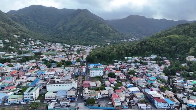 Tropical Life in Soufri&egrave;re Saint Lucia