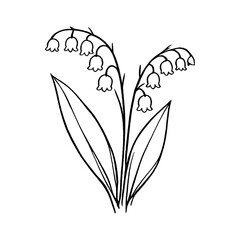 Fototapeta premium PNG Minimalist lily of the valley illustration.