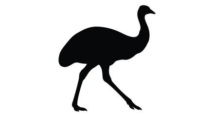 Obraz premium Emu Silhouette On White Background Minimalist Wildlife Illustration