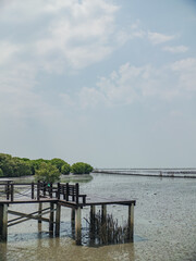 Fototapeta premium Quiet wooden structure reaching into estuary with mangroves behind