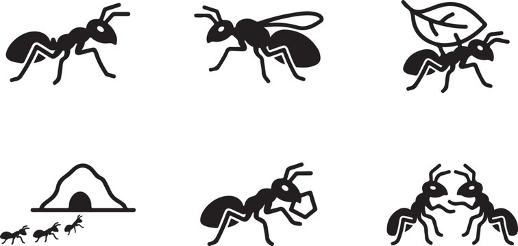 Black ants in various poses and activities illustration Vector