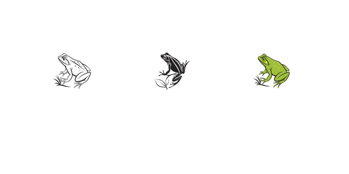 Collection of three artistic frog illustrations showing different design styles and details.