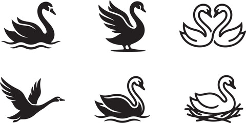 Fototapeta premium Black swan illustrations in various elegant poses Vector