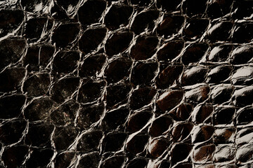 Dark exotic reptile leather texture with glossy python scales for luxury fashion background © reddish