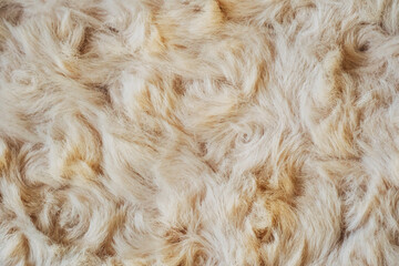 Textured animal fur close up background © reddish