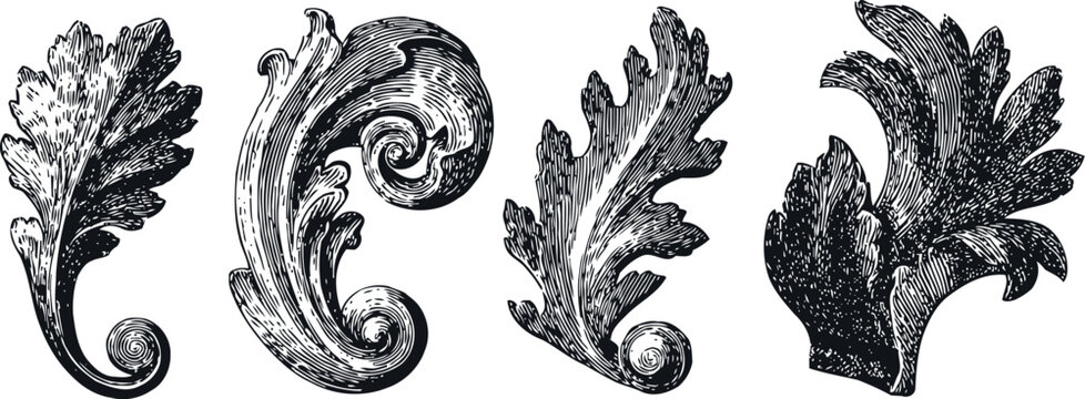 ornate vintage floral scrolls and leaves decorative antique baroque foliage elements